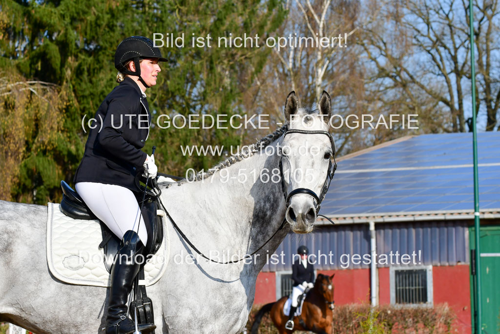 Reitsportzentrum Bremervörde | 10421 Dressur L Tr_052 