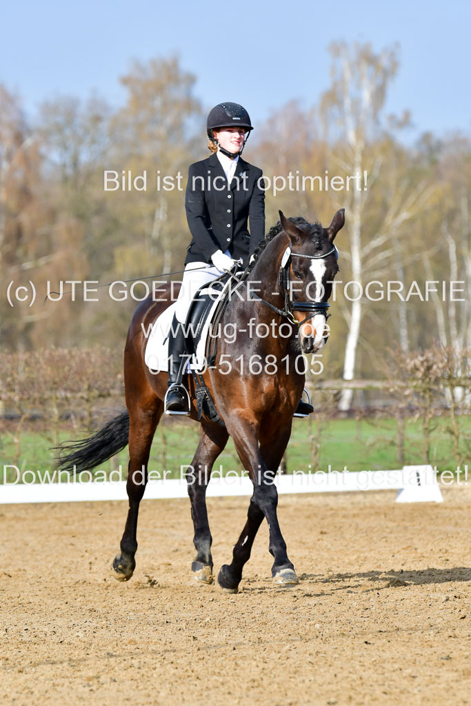 Reitsportzentrum Bremervörde | 10421 Dressur L Tr_053 