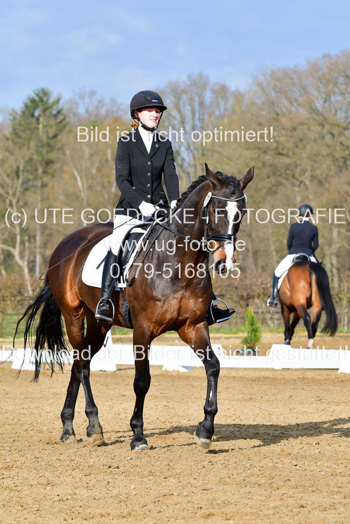 Reitsportzentrum Bremervörde | 10421 Dressur L Tr_055 