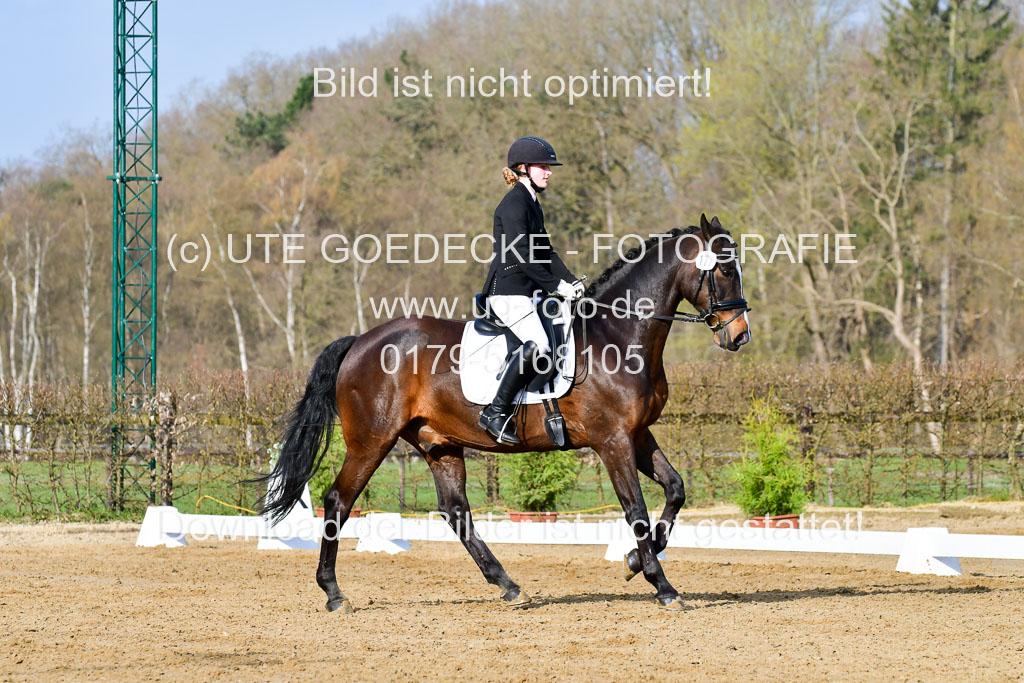 Reitsportzentrum Bremervörde | 10421 Dressur L Tr_056 