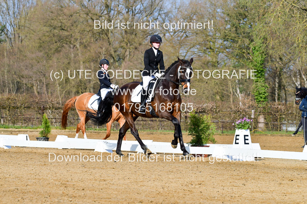 Reitsportzentrum Bremervörde | 10421 Dressur L Tr_059 