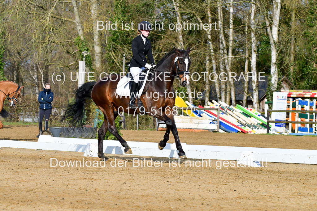 Reitsportzentrum Bremervörde | 10421 Dressur L Tr_060 