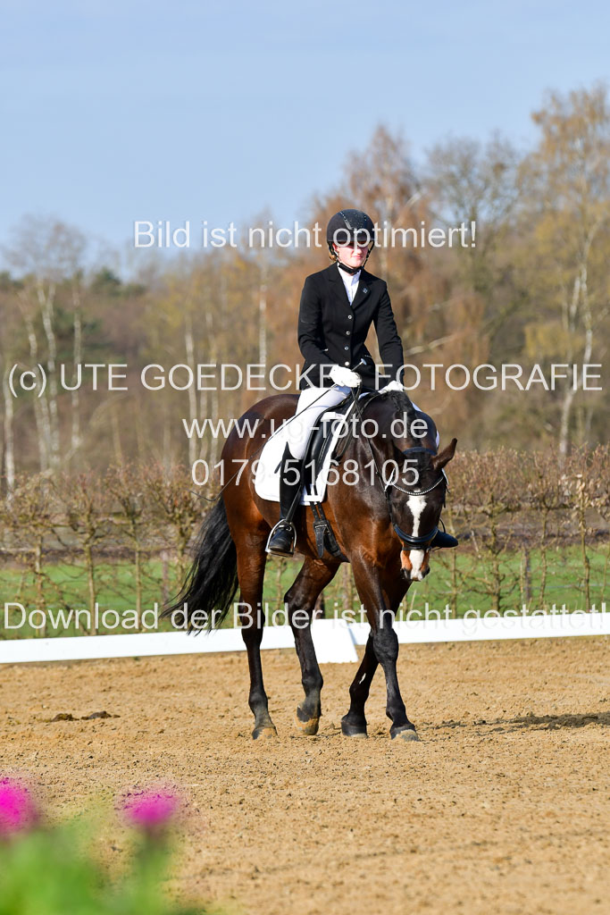 Reitsportzentrum Bremervörde | 10421 Dressur L Tr_064 