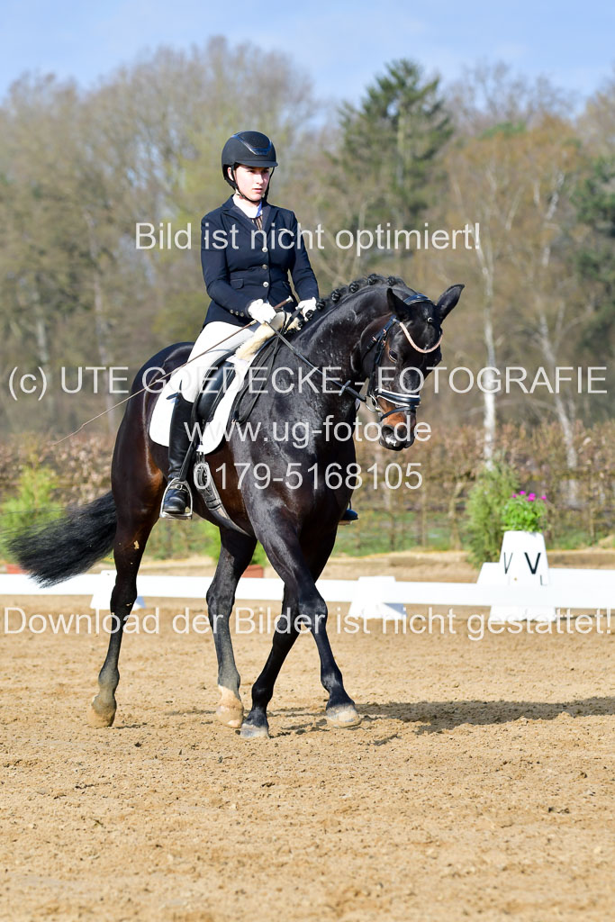 Reitsportzentrum Bremervörde | 10421 Dressur L Tr_073 