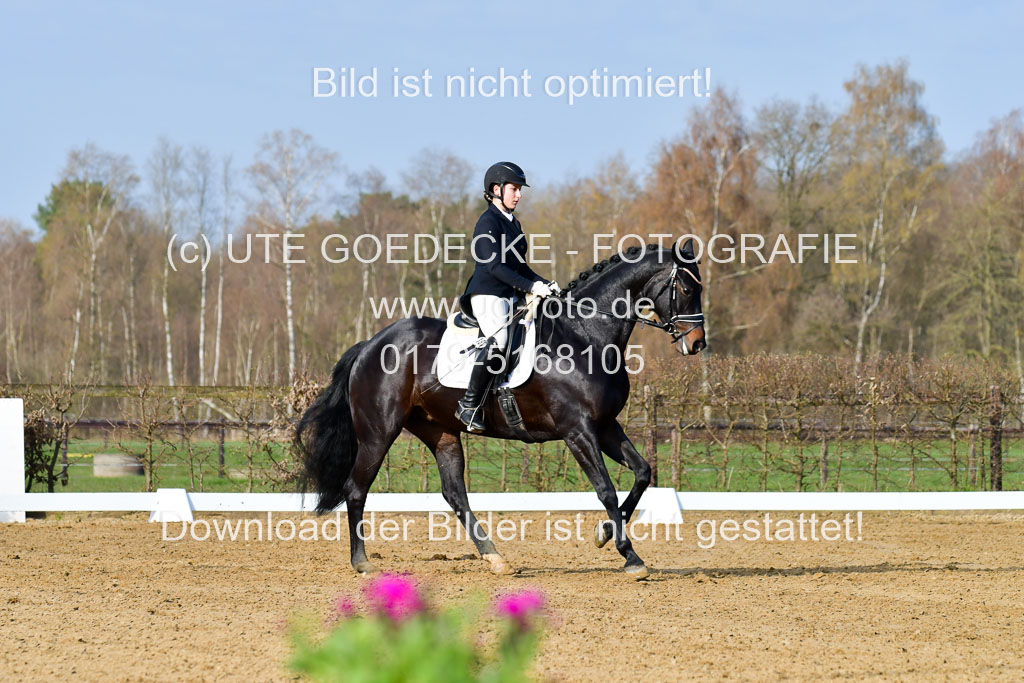 Reitsportzentrum Bremervörde | 10421 Dressur L Tr_076 