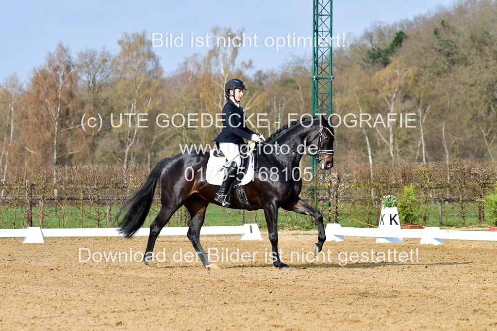 Reitsportzentrum Bremervörde | 10421 Dressur L Tr_077 