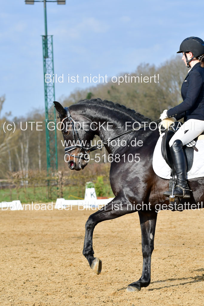 Reitsportzentrum Bremervörde | 10421 Dressur L Tr_079 