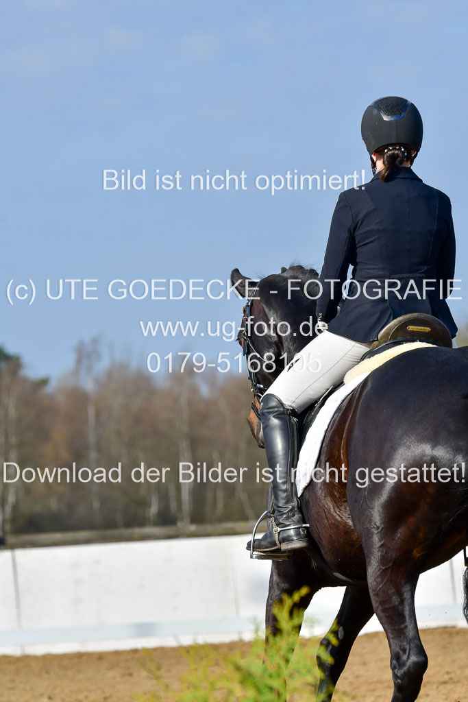 Reitsportzentrum Bremervörde | 10421 Dressur L Tr_081 