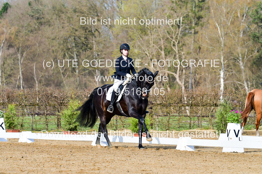 Reitsportzentrum Bremervörde | 10421 Dressur L Tr_085 