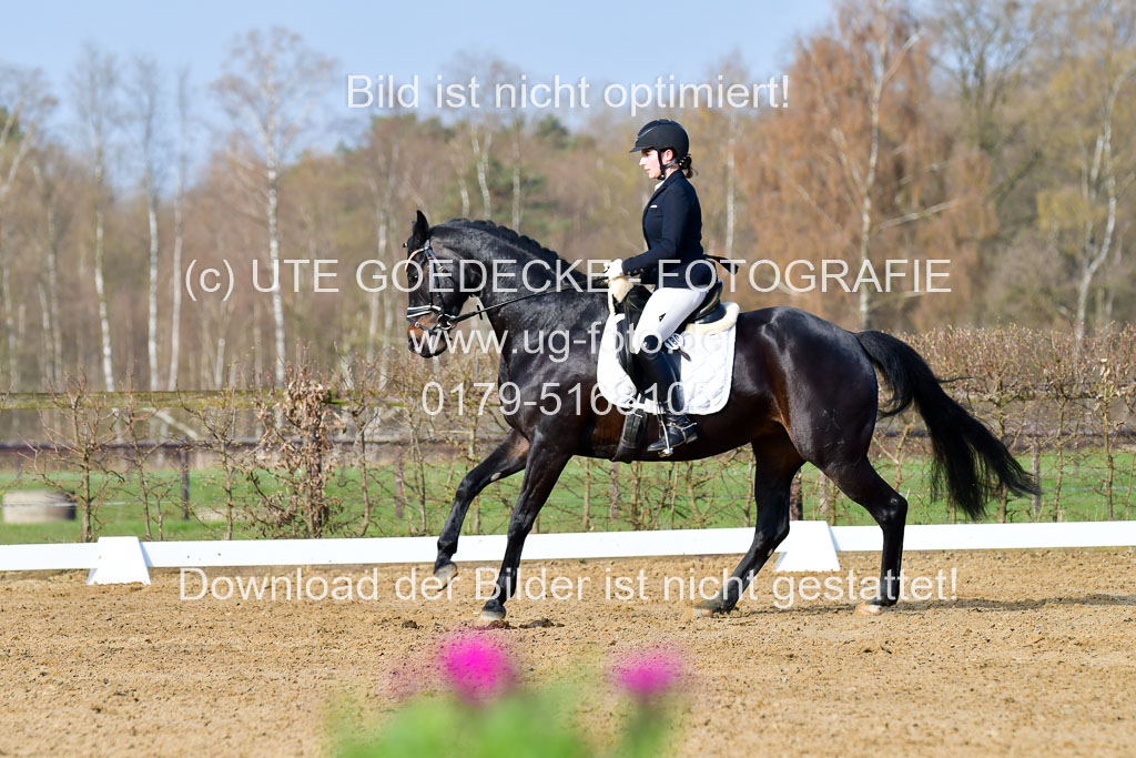 Reitsportzentrum Bremervörde | 10421 Dressur L Tr_087 