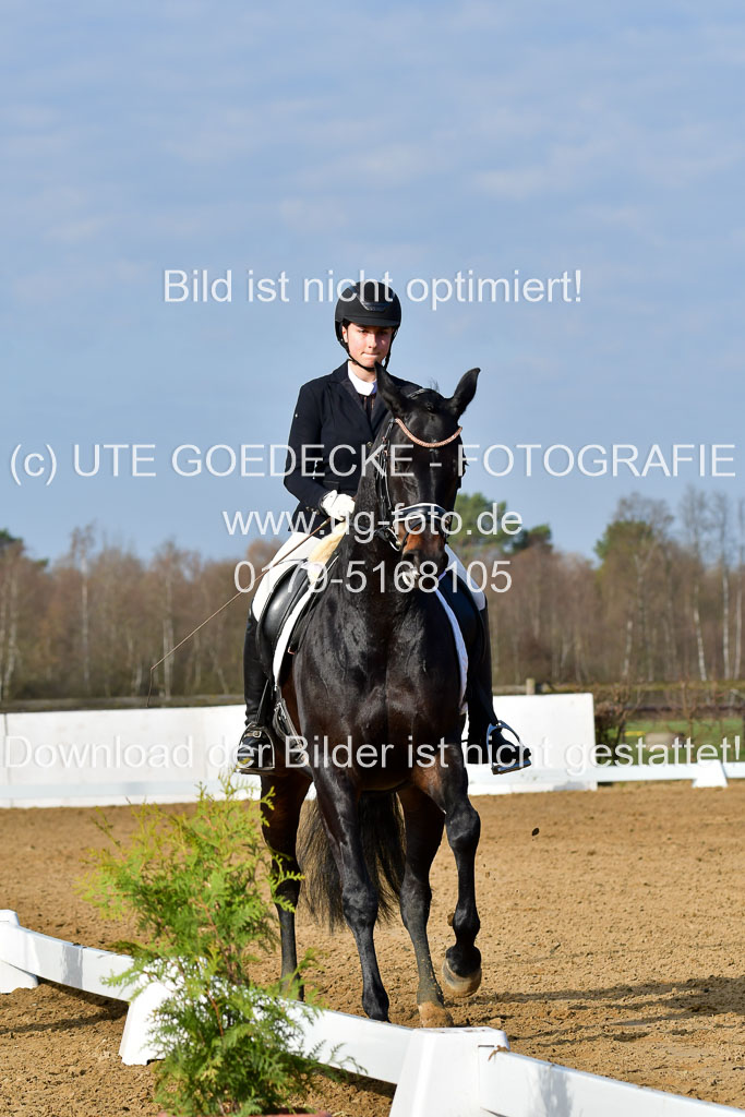 Reitsportzentrum Bremervörde | 10421 Dressur L Tr_089 