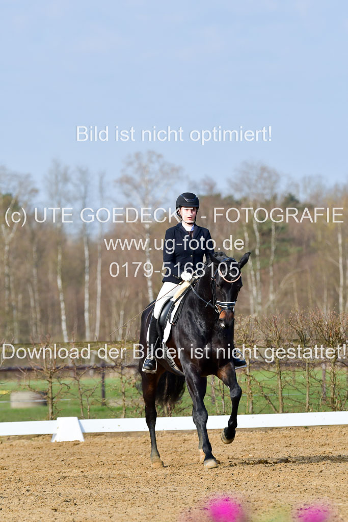 Reitsportzentrum Bremervörde | 10421 Dressur L Tr_091 