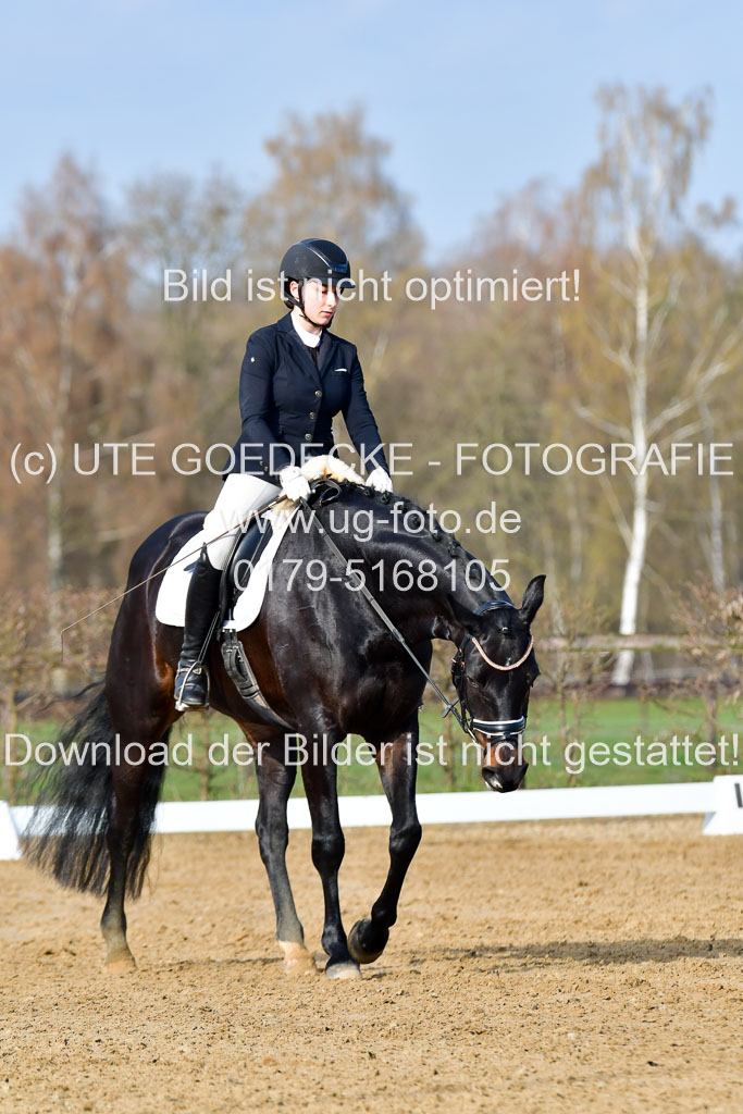 Reitsportzentrum Bremervörde | 10421 Dressur L Tr_093