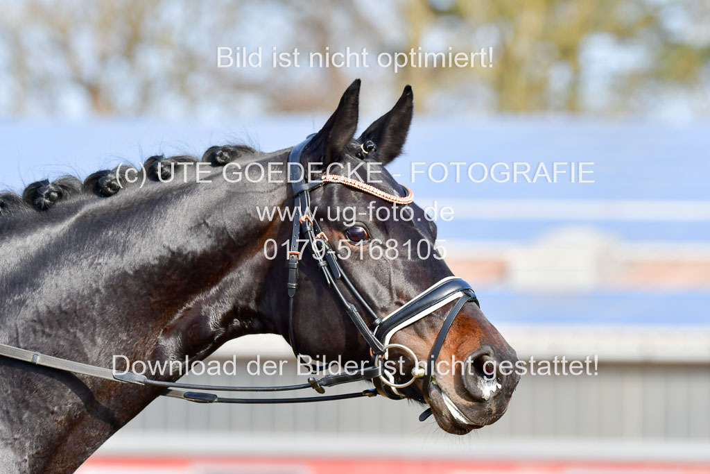 Reitsportzentrum Bremervörde | 10421 Dressur L Tr_094