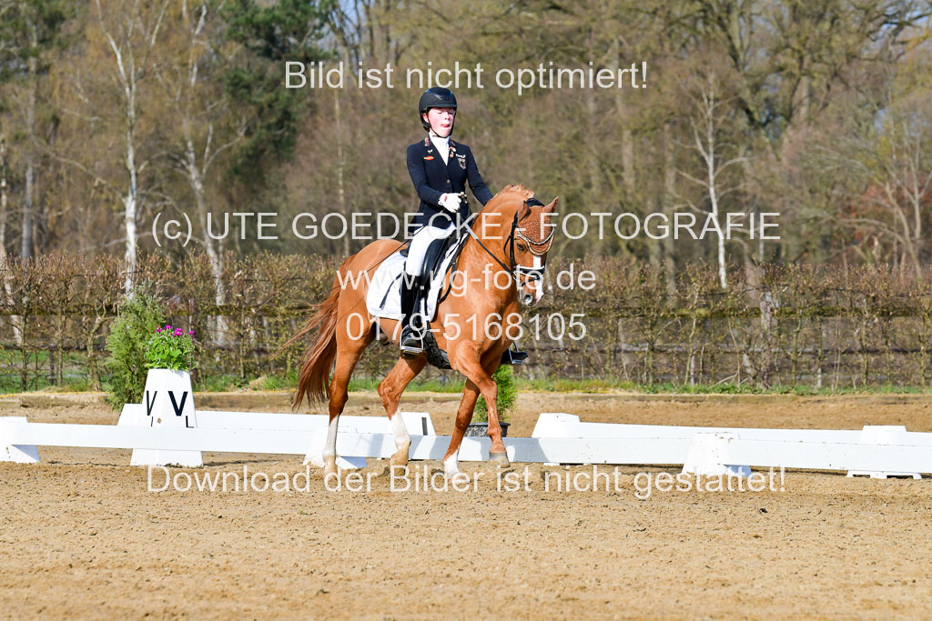 Reitsportzentrum Bremervörde | 10421 Dressur L Tr_096