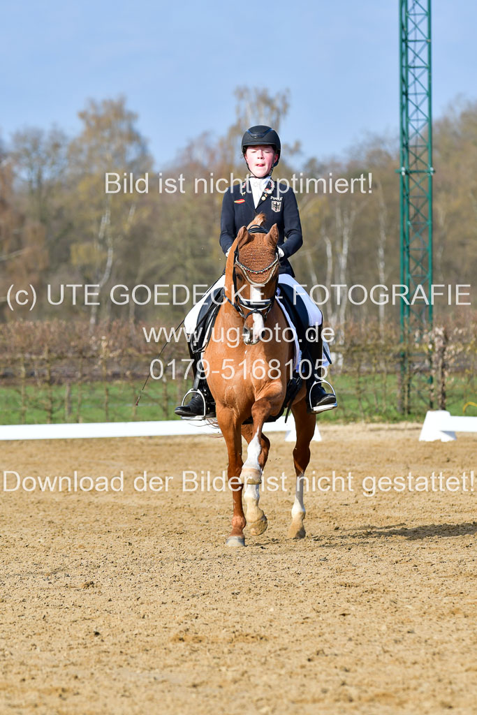 Reitsportzentrum Bremervörde | 10421 Dressur L Tr_098