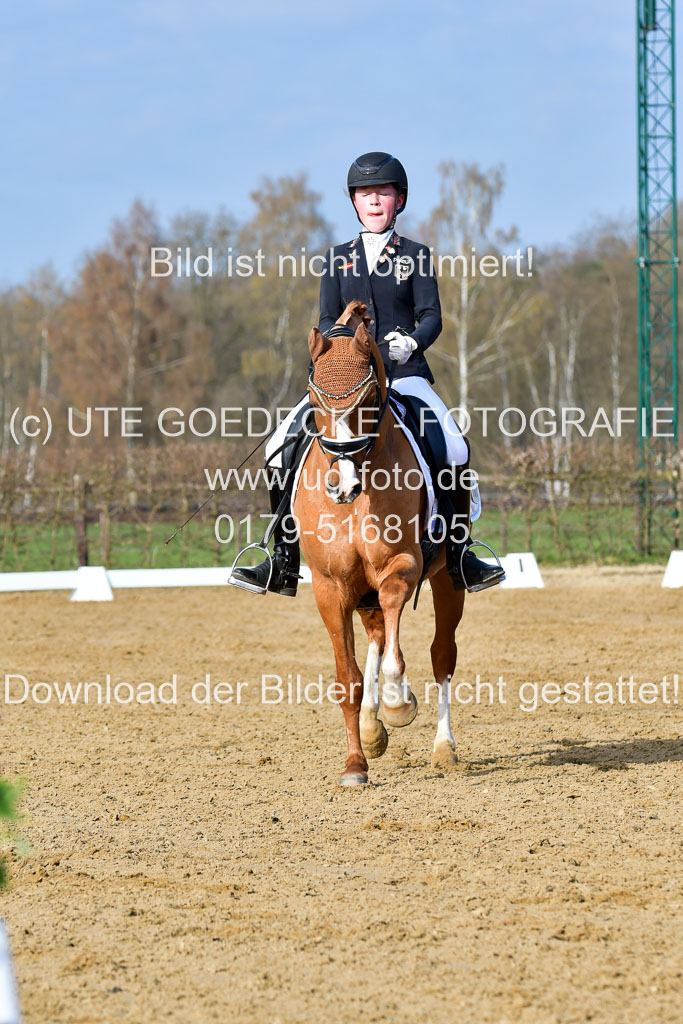 Reitsportzentrum Bremervörde | 10421 Dressur L Tr_099