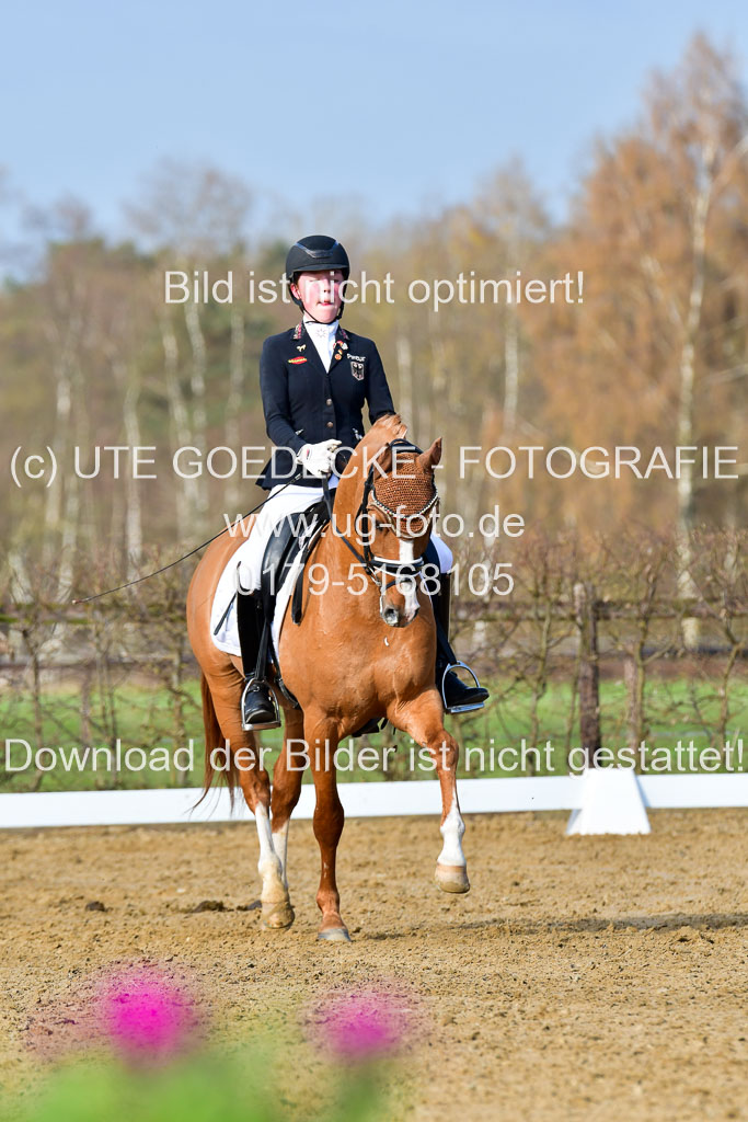 Reitsportzentrum Bremervörde | 10421 Dressur L Tr_100