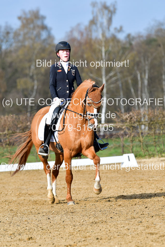 Reitsportzentrum Bremervörde | 10421 Dressur L Tr_102