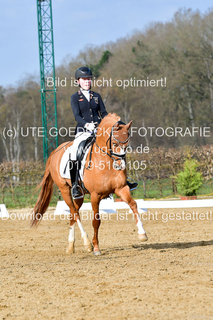 Reitsportzentrum Bremervörde | 10421 Dressur L Tr_103