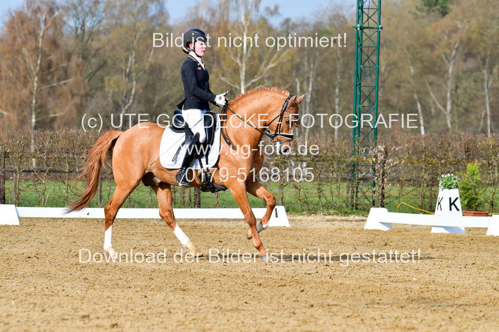 Reitsportzentrum Bremervörde | 10421 Dressur L Tr_106