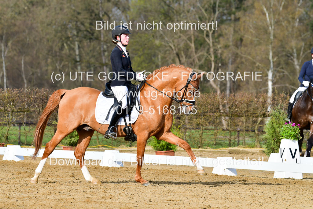 Reitsportzentrum Bremervörde | 10421 Dressur L Tr_107