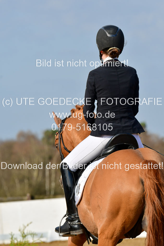 Reitsportzentrum Bremervörde | 10421 Dressur L Tr_110