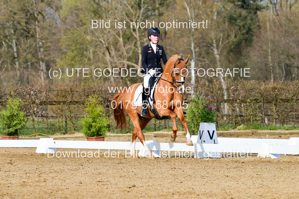 Reitsportzentrum Bremervörde | 10421 Dressur L Tr_111