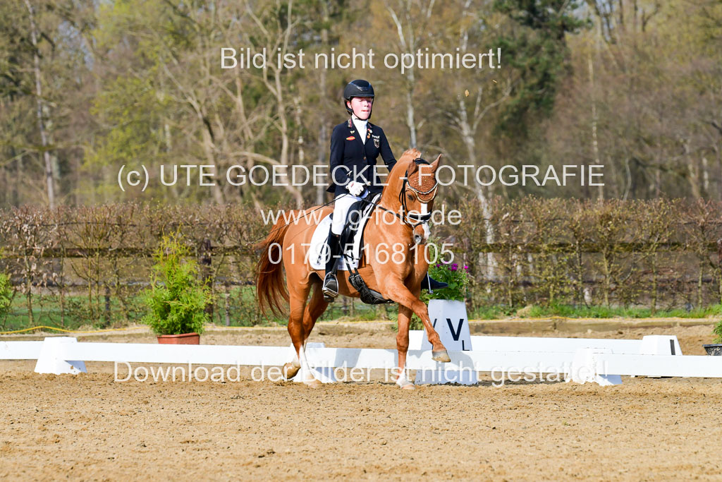 Reitsportzentrum Bremervörde | 10421 Dressur L Tr_112