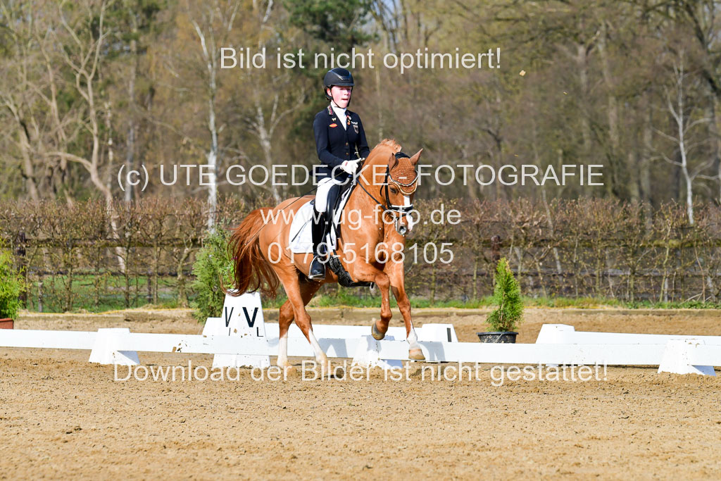 Reitsportzentrum Bremervörde | 10421 Dressur L Tr_113