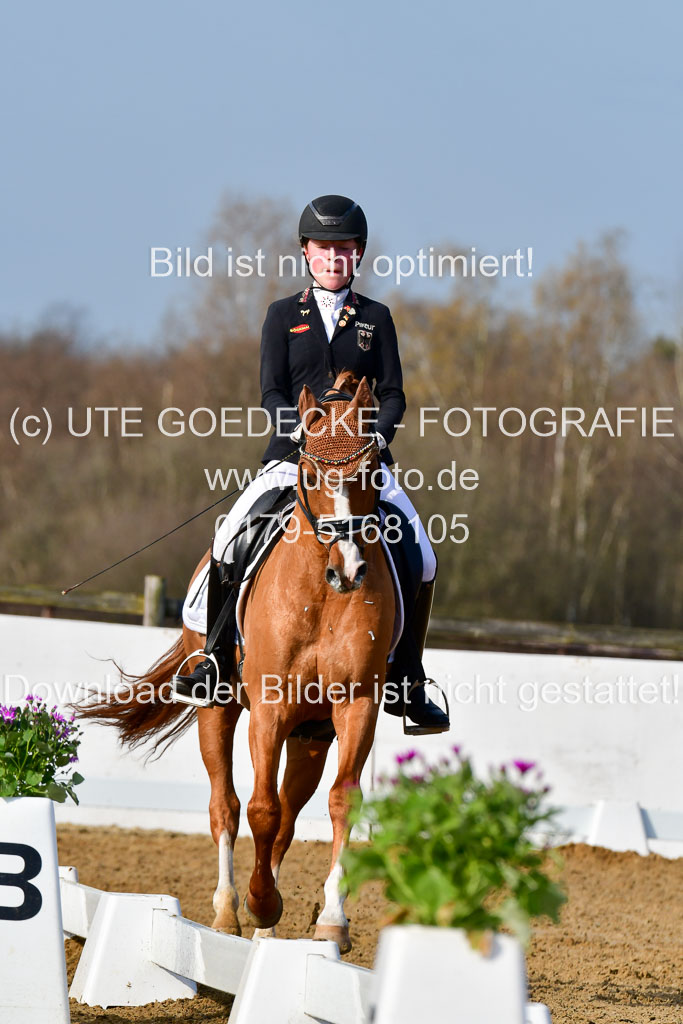 Reitsportzentrum Bremervörde | 10421 Dressur L Tr_116
