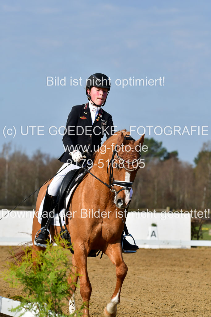 Reitsportzentrum Bremervörde | 10421 Dressur L Tr_117