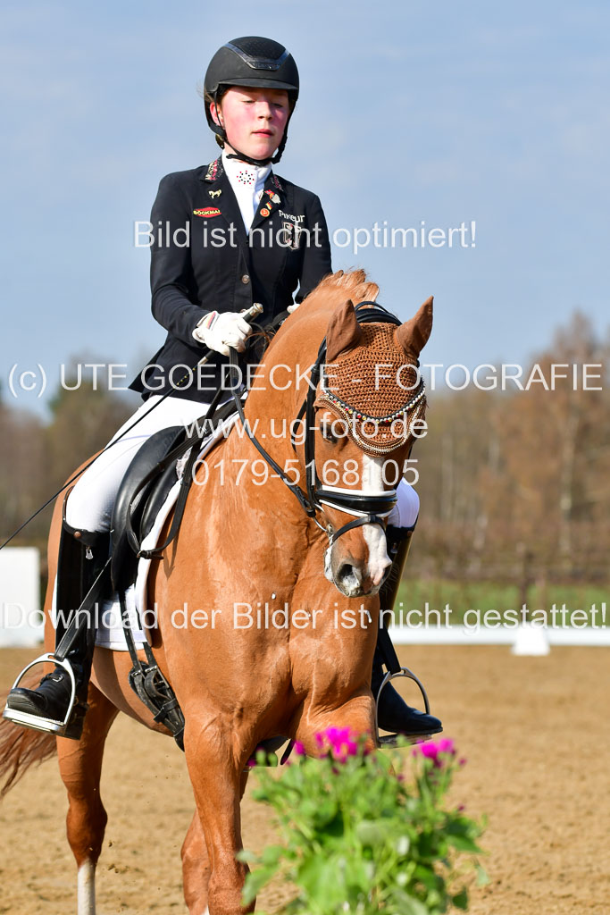 Reitsportzentrum Bremervörde | 10421 Dressur L Tr_118 