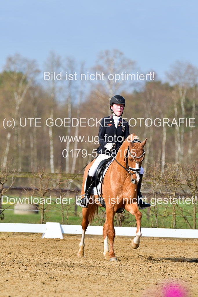 Reitsportzentrum Bremervörde | 10421 Dressur L Tr_119