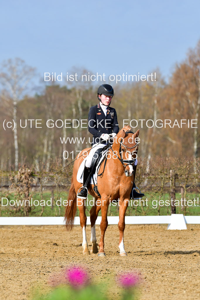 Reitsportzentrum Bremervörde | 10421 Dressur L Tr_120