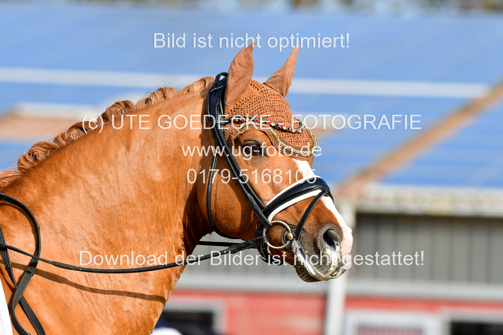 Reitsportzentrum Bremervörde | 10421 Dressur L Tr_123