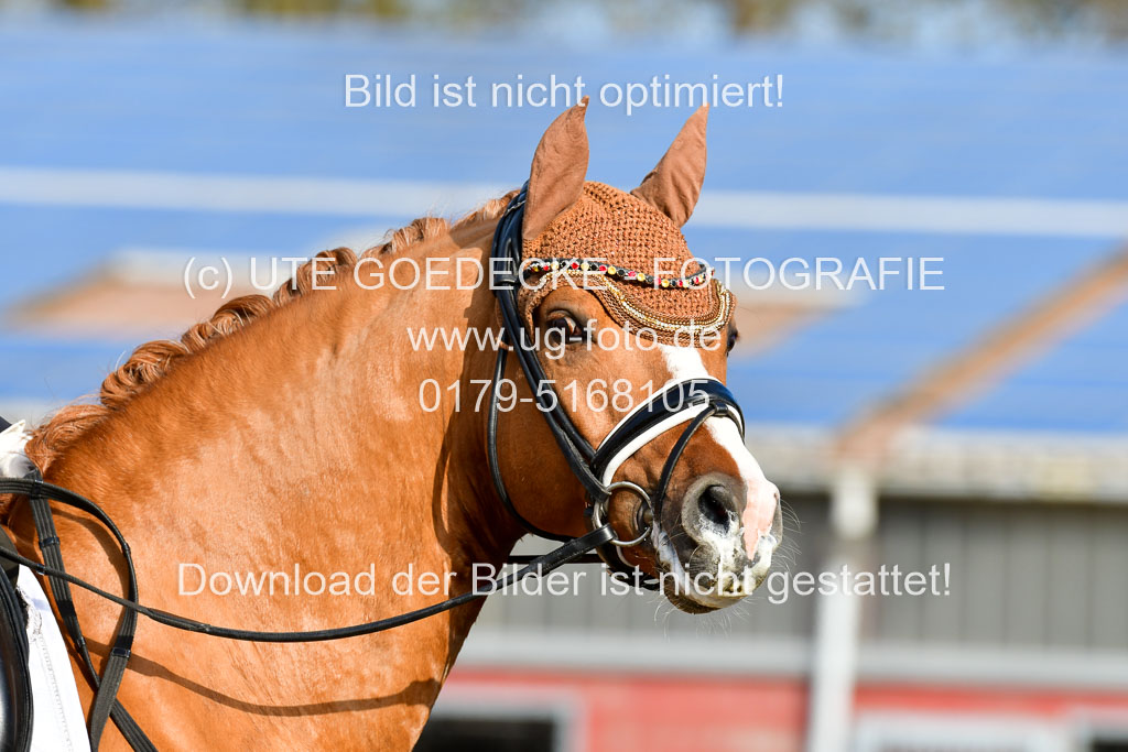 Reitsportzentrum Bremervörde | 10421 Dressur L Tr_124 