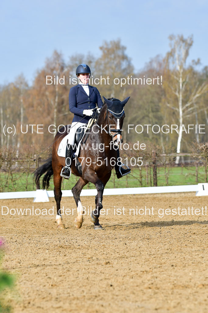 Reitsportzentrum Bremervörde | 10421 Dressur L Tr_125