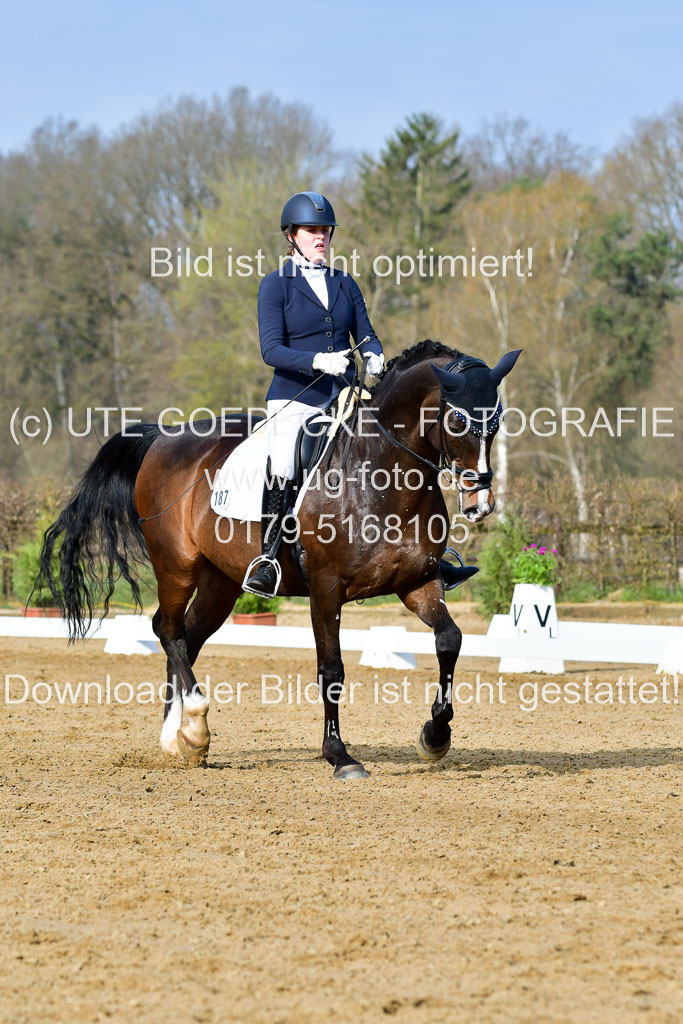Reitsportzentrum Bremervörde | 10421 Dressur L Tr_126 