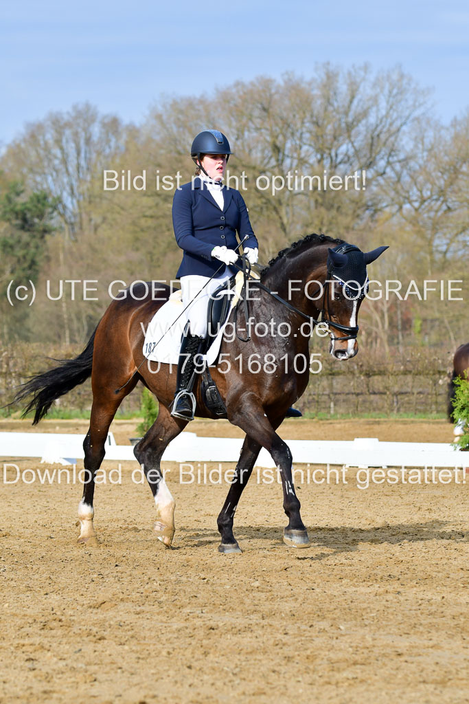 Reitsportzentrum Bremervörde | 10421 Dressur L Tr_127 