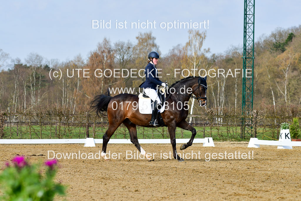 Reitsportzentrum Bremervörde | 10421 Dressur L Tr_129