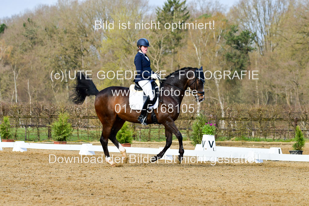 Reitsportzentrum Bremervörde | 10421 Dressur L Tr_130