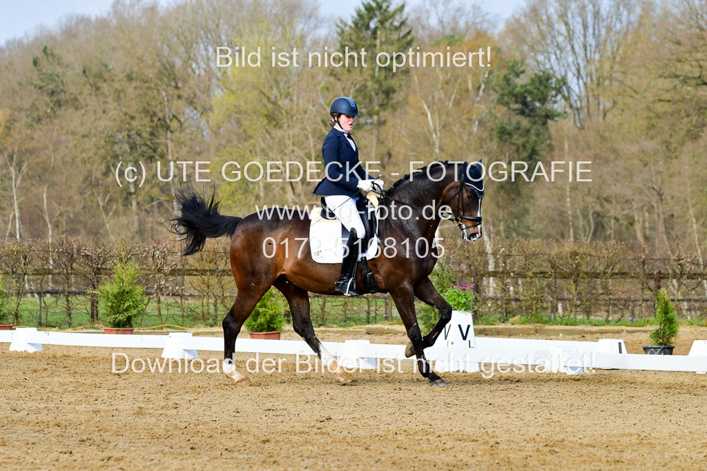 Reitsportzentrum Bremervörde | 10421 Dressur L Tr_131