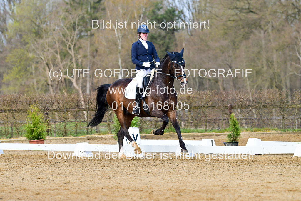 Reitsportzentrum Bremervörde | 10421 Dressur L Tr_132