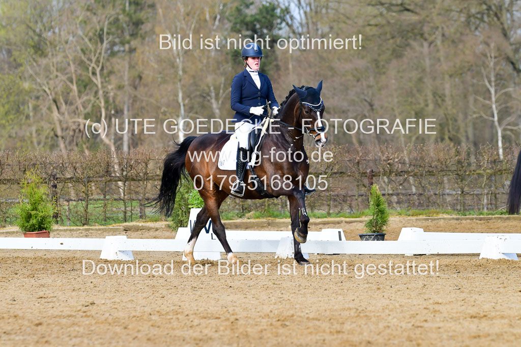 Reitsportzentrum Bremervörde | 10421 Dressur L Tr_133