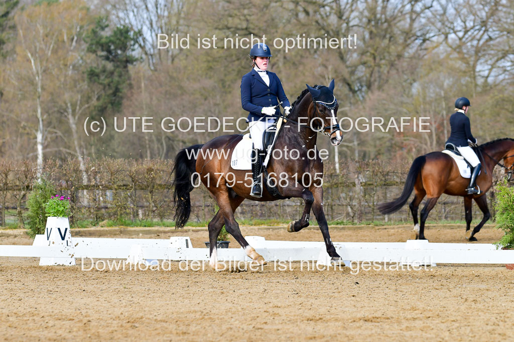 Reitsportzentrum Bremervörde | 10421 Dressur L Tr_134