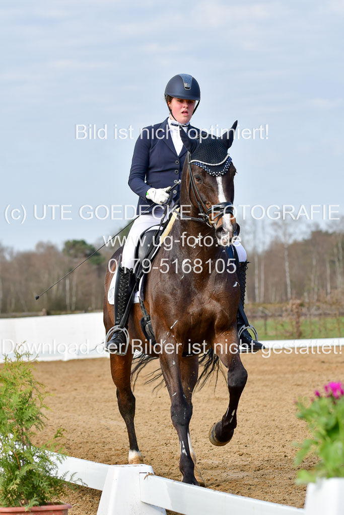 Reitsportzentrum Bremervörde | 10421 Dressur L Tr_137