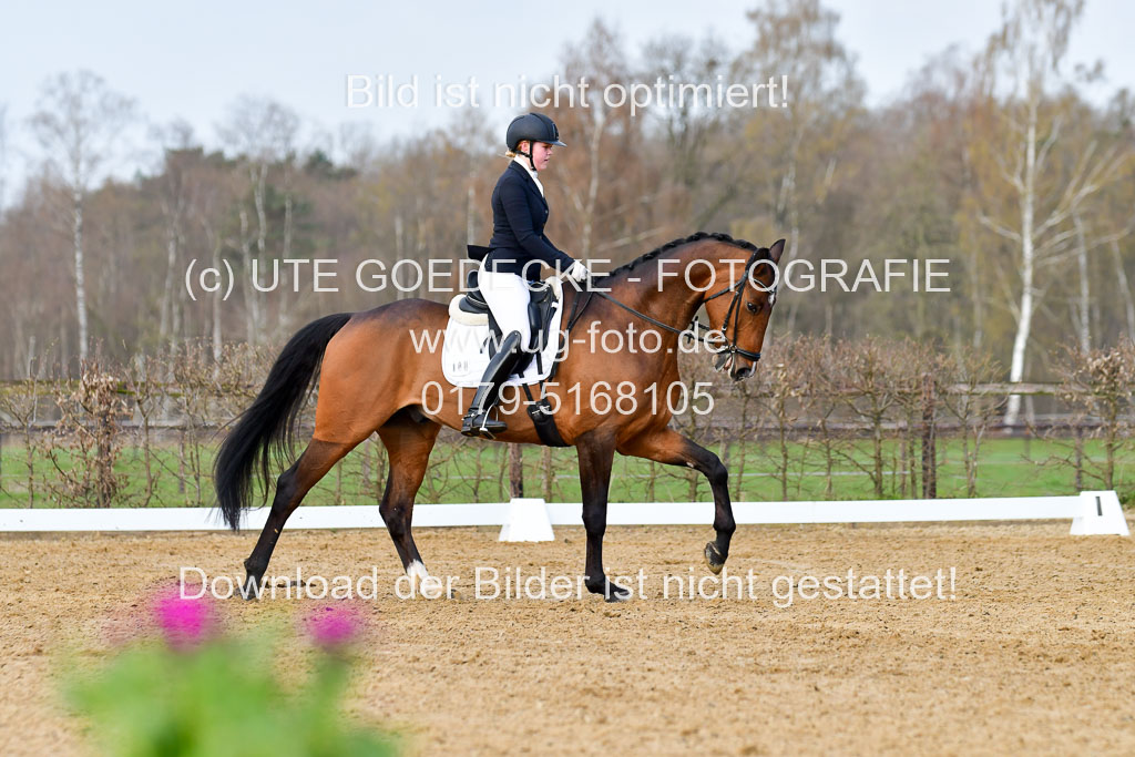 Reitsportzentrum Bremervörde | 10421 Dressur L Tr_144