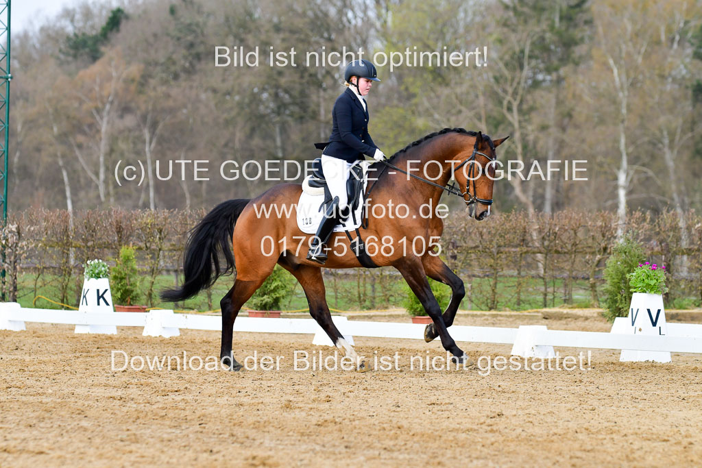 Reitsportzentrum Bremervörde | 10421 Dressur L Tr_145