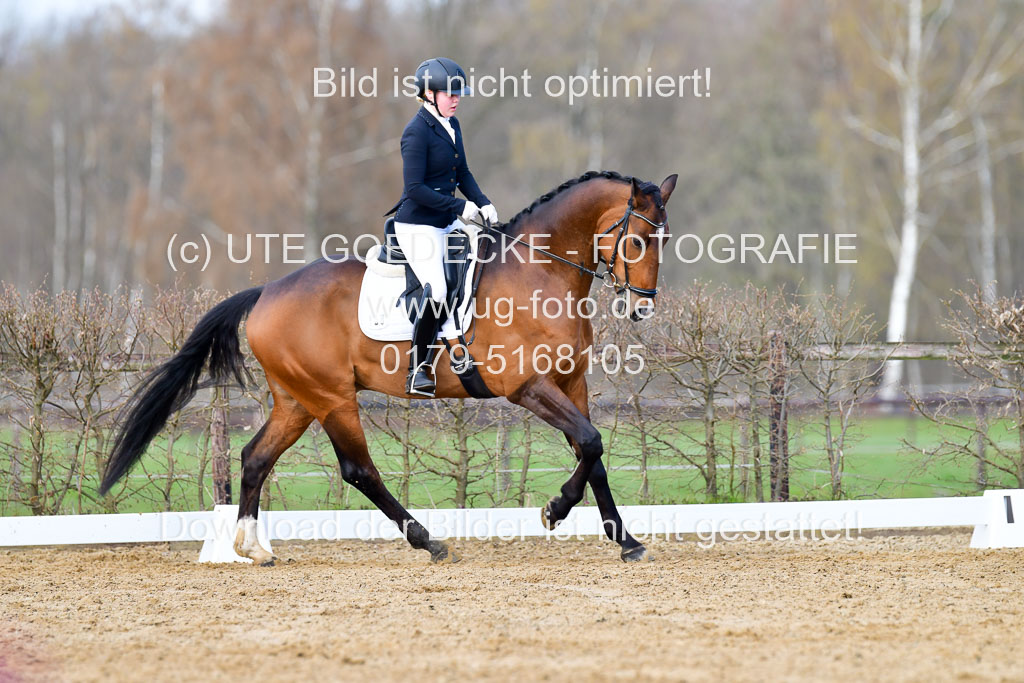 Reitsportzentrum Bremervörde | 10421 Dressur L Tr_146